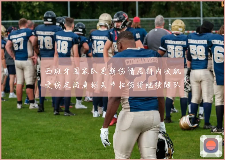 西班牙国家队更新伤情尼科内收肌受伤皮诺肩锁关节扭伤将继续随队训练