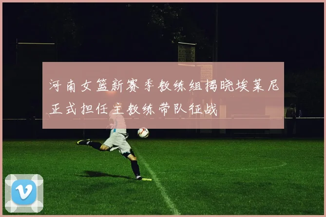 河南女篮新赛季教练组揭晓埃莱尼正式担任主教练带队征战