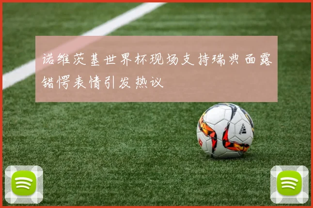 诺维茨基世界杯现场支持瑞典面露错愕表情引发热议
