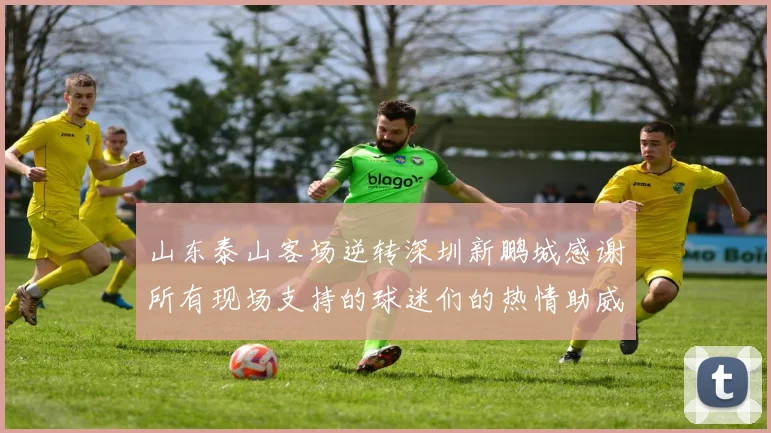 山东泰山客场逆转深圳新鹏城感谢所有现场支持的球迷们的热情助威